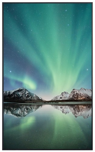 Ecowelle 350 1200 watt - ecowelle,